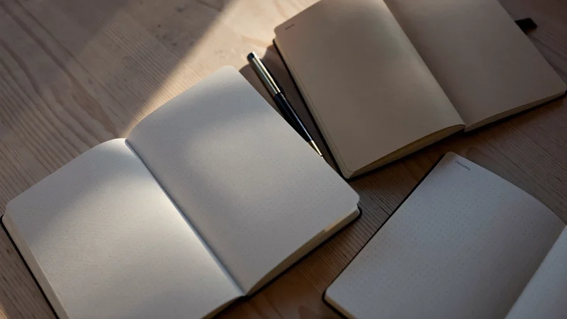 Carnets à pointillés éventaillés près d'un stylo-plume sur un bureau clair